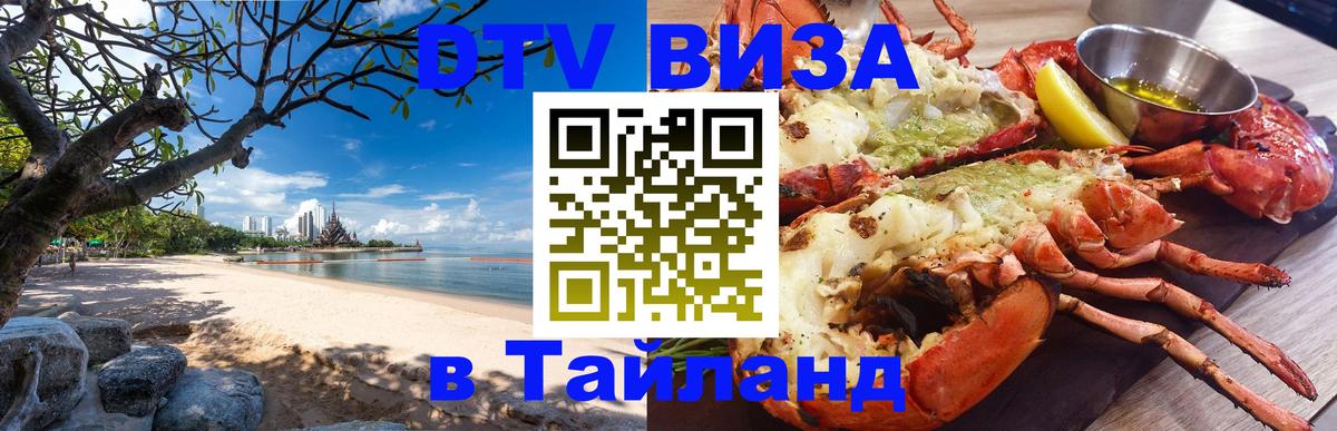 Сколько стоит DTV виза — актуальные цены, оформление даже без документов - Димитровград 